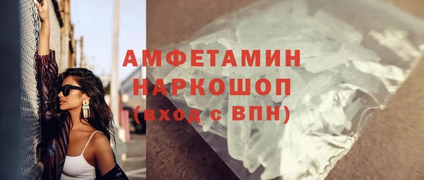 индика Алзамай