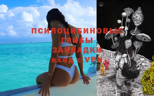 соль ск Алексин