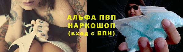 индика Алзамай
