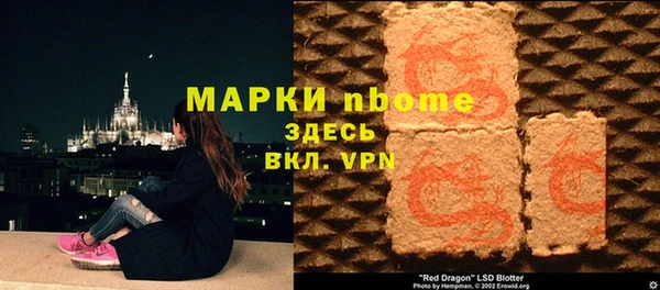 индика Алзамай