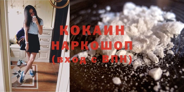 индика Алзамай