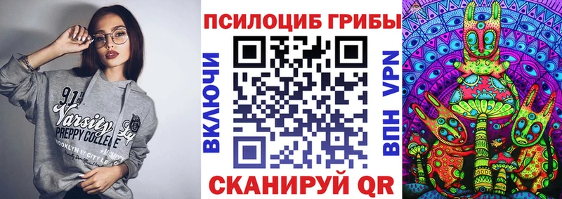Псилоцибиновые грибы прущие грибы где купить Рошаль